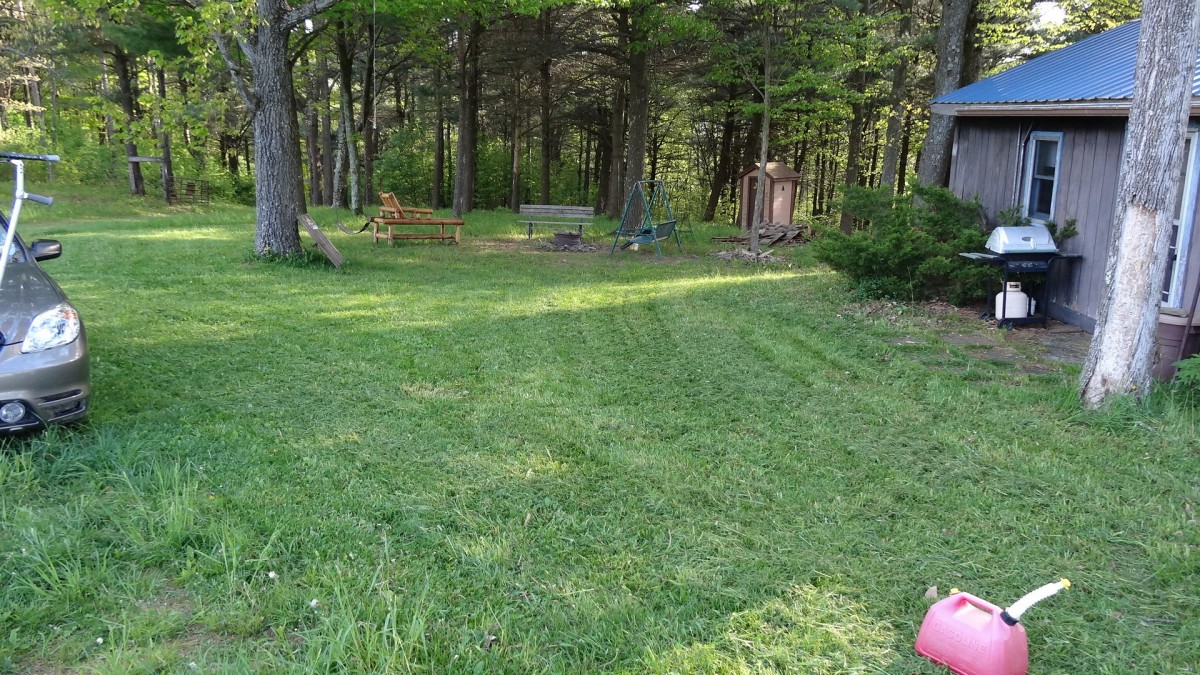 Front Yard of Cabin Mowed 5-24-19.jpg (799.38 KiB) Viewed 20076 times Front Yard of Cabin Mowed 5-24-19.jpg