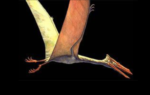 Flying_Dinosaurs.png