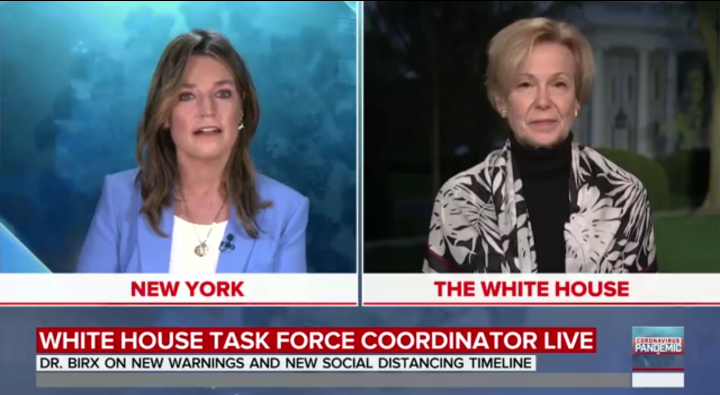 Dr_Birx_Interview.png