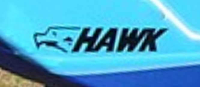 CGS_Hawk_Logo.png