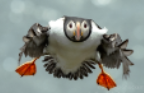 20200616_130524.png