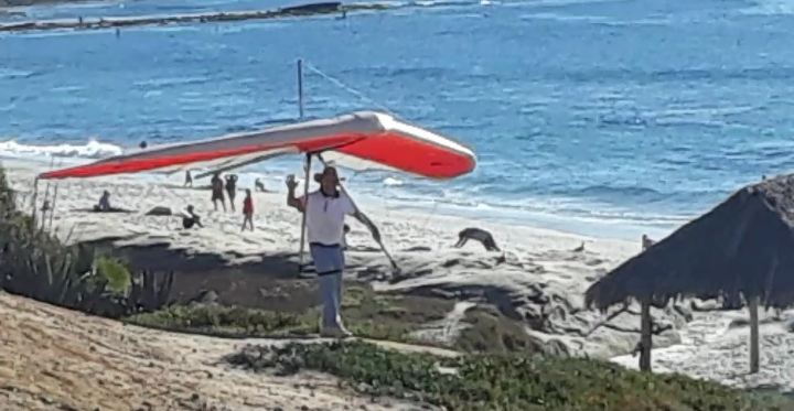 LittleHawkBobWindAndSeaBeach.png