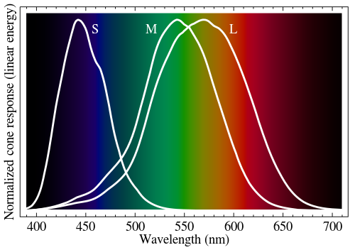 500px-Cone-fundamentals-with-srgb-spectrum.svg.png