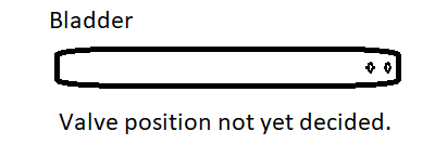 Bladder001.png
