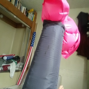 5n1somerelatedlongercoatsleeve.jpg