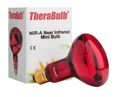 thera bulb 2.png