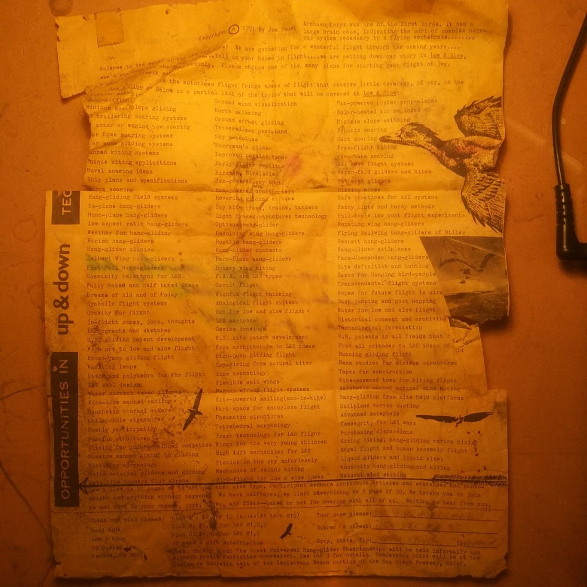 1971advertisement.jpg