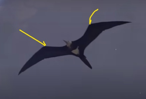 four part leading edge 1.png
