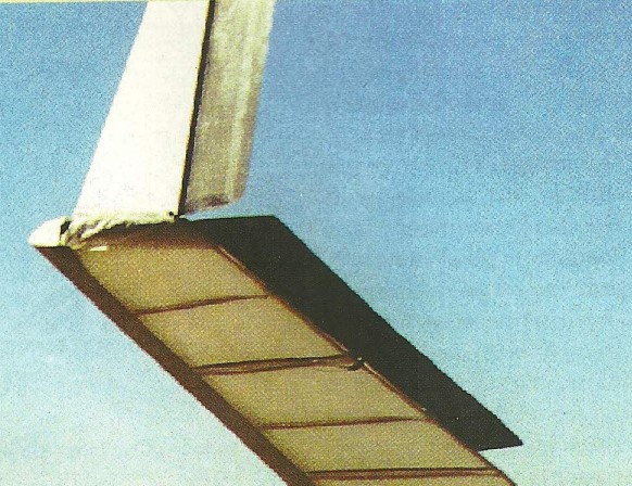 MilleniumWingTip4.jpg