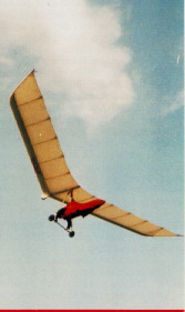 ExperienceByLutzWINGTIPflightCirca1991.jpg