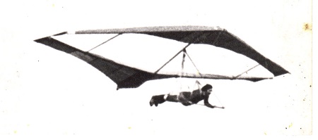 TandemWingHG450.jpg