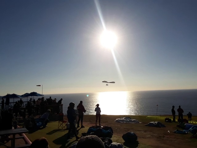 HG_Flying.jpeg