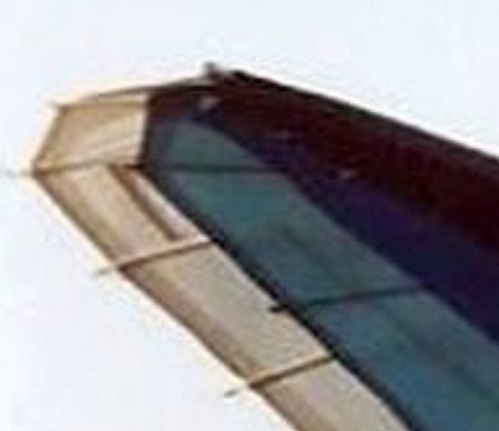 SharkWingtip.jpg