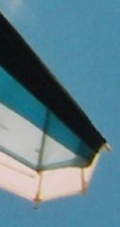 SharkByFlightSailsWingtip.jpg