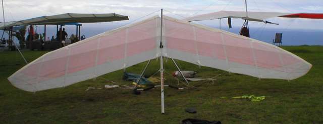 PA230171.JPG