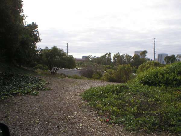 PA240011.JPG