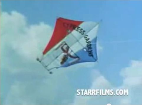 kite_007.jpg
