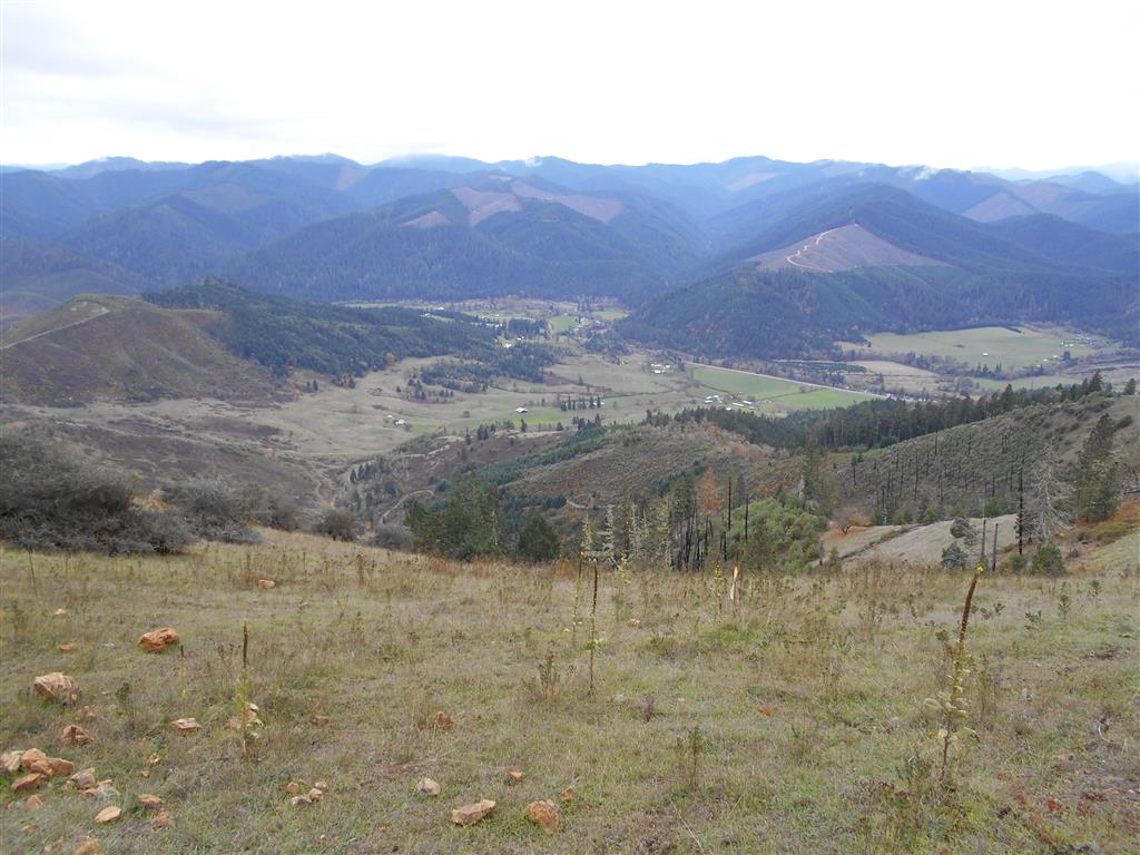 DSCN0114 (Medium).JPG