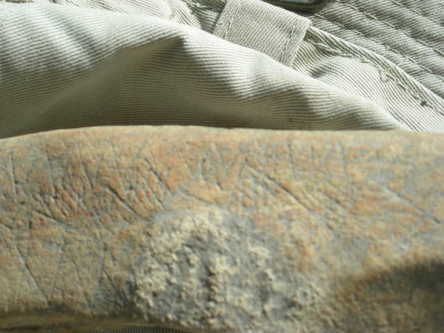 DSCN2615.JPG