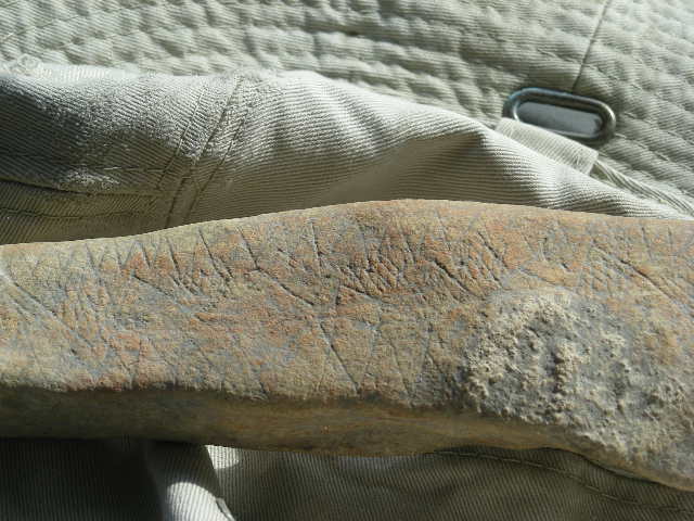 DSCN2614.JPG