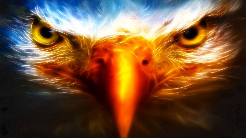 An Eagle's Prayer.jpg