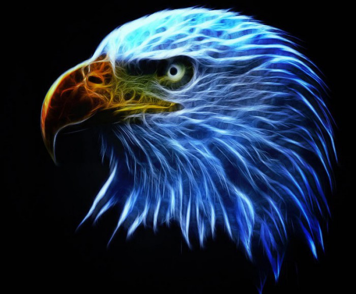 Blue Eagle.jpg