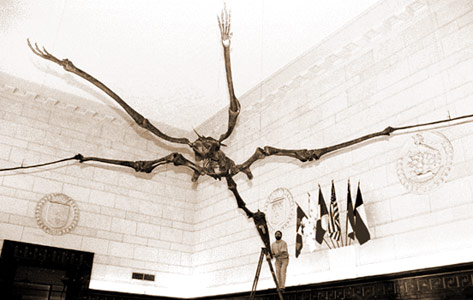 texas-pterosaur-1.jpg