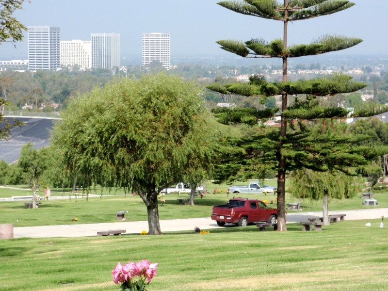 Down slope location view.jpg