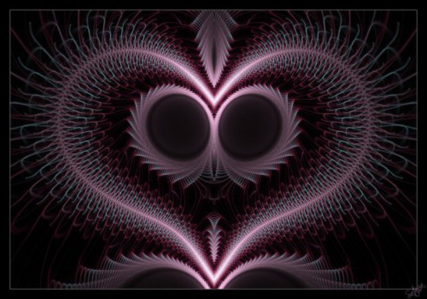 Heart of Wings.jpg