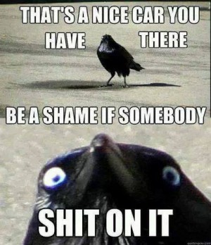 Bomb's Away.jpg