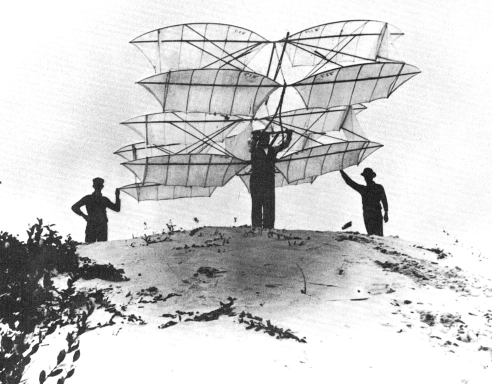 Chanute_Katydid.jpg