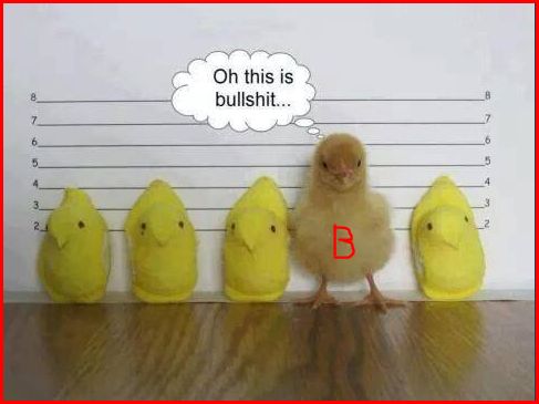 find bob.JPG