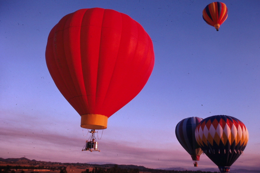 Flying in a group.jpg