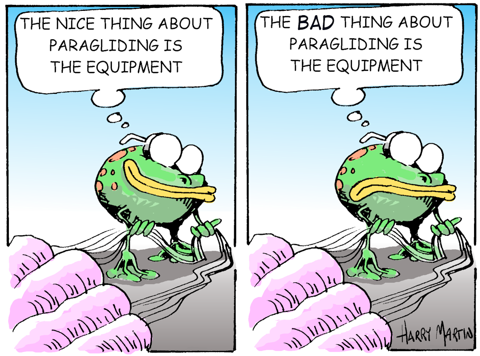 pg_sad_frog.png