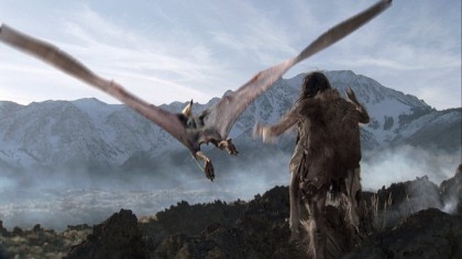 Hawk Lunch.jpg