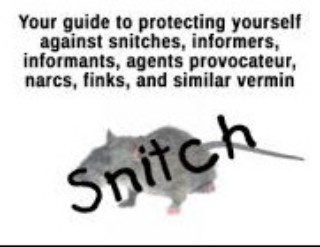 New USHPA Law.jpg