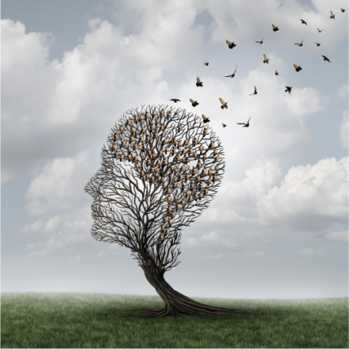 Bird Brain.png