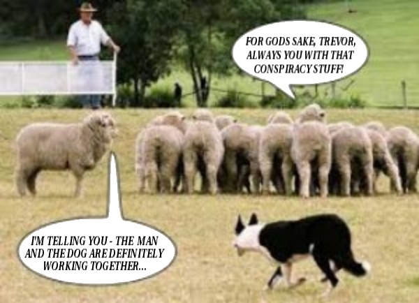 SheepDog_600.jpg