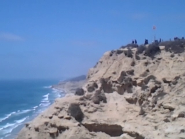 Torrey_Pines_04.jpeg