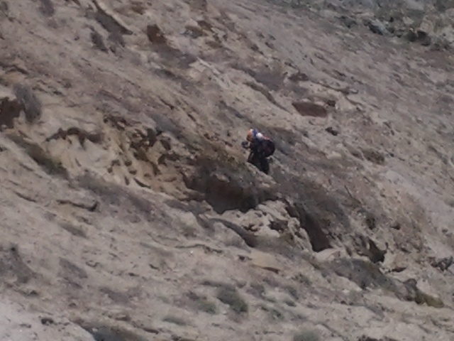 Torrey_Pines_12.jpeg
