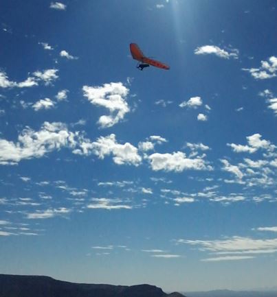 Taro's_Last_Flight_Feb5_2017.JPG