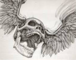 Tooth Hawk.jpg