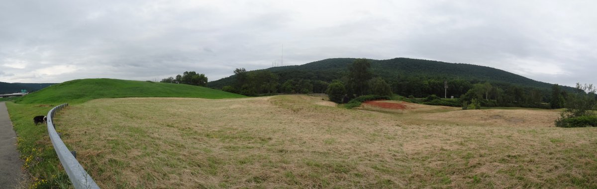 Local Hill mowed 7-6-17sm.jpg