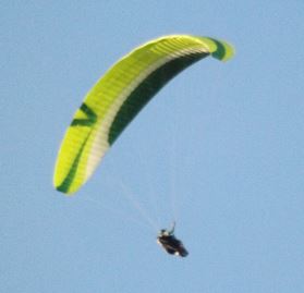 Going for the spot landing..JPG