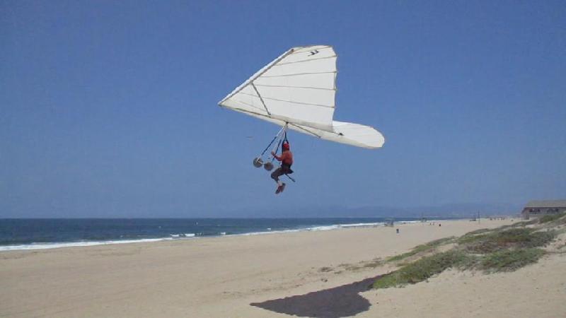 IMG_0079_1240d_png.jpg